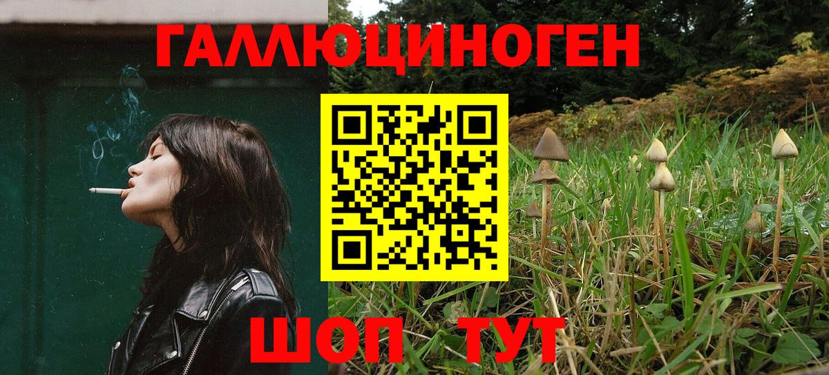 Добрянка  Псилоцибиновые грибы Cubensis  Вход с VPN 