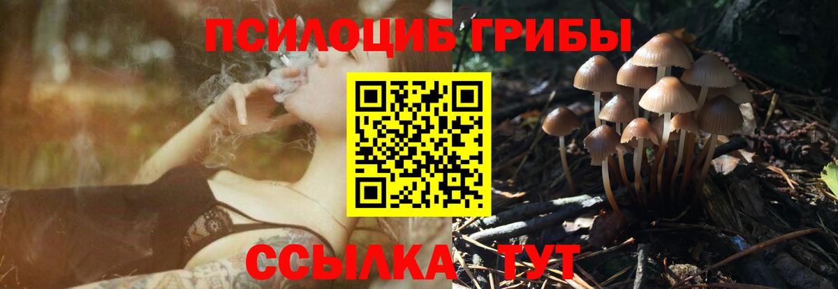 Псилоцибиновые грибы MAGIC MUSHROOMS Добрянка